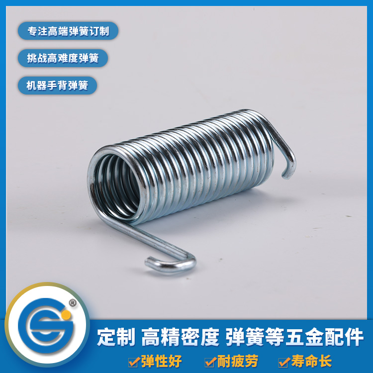 Torsion spring