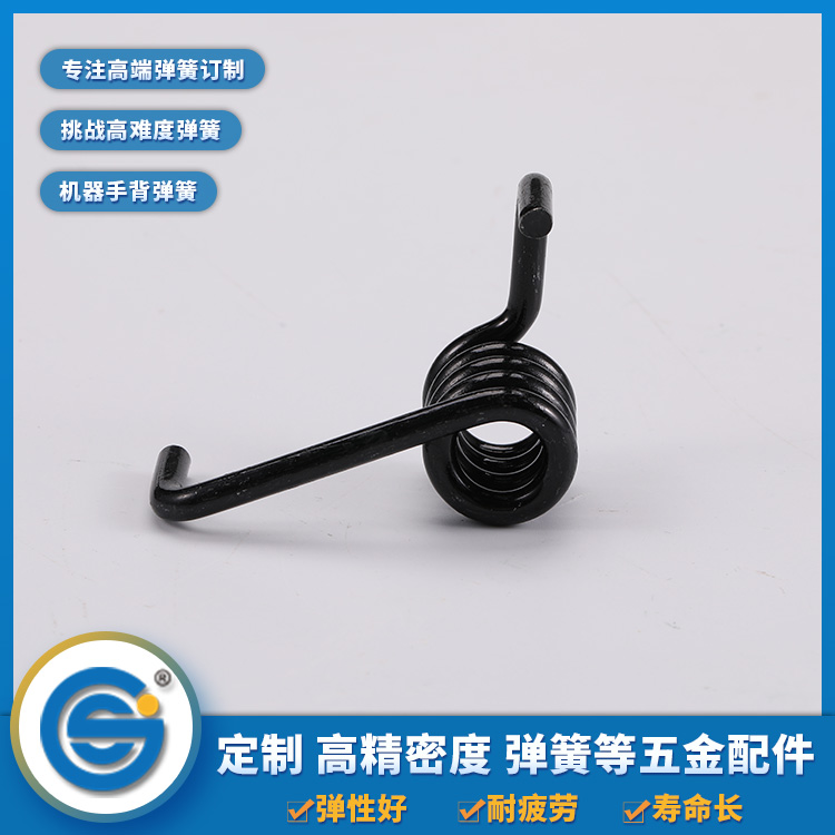 Torsion spring