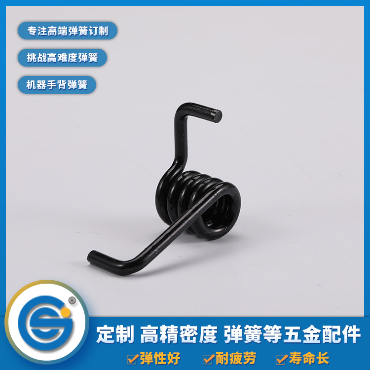 Torsion spring