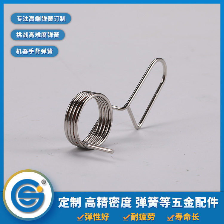 Torsion spring