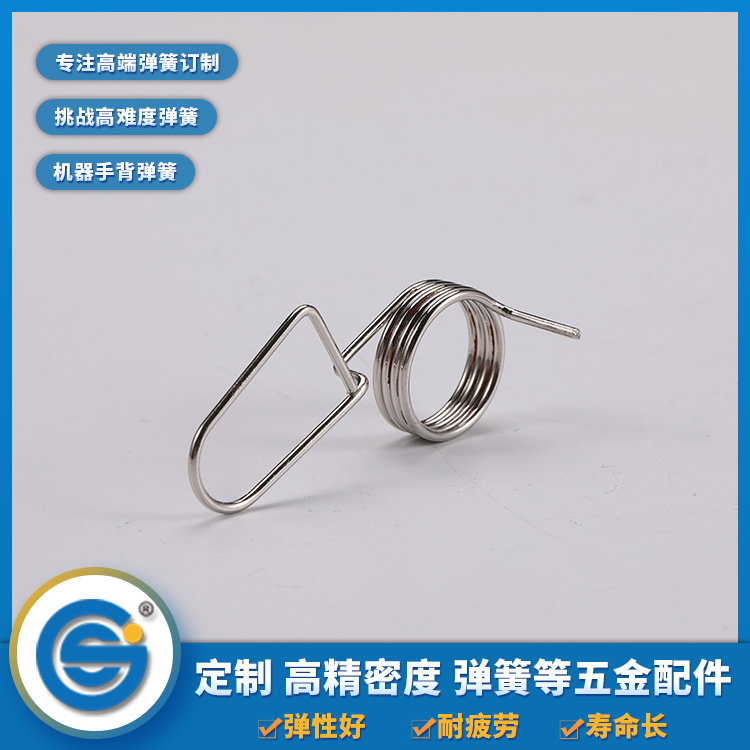 Torsion spring