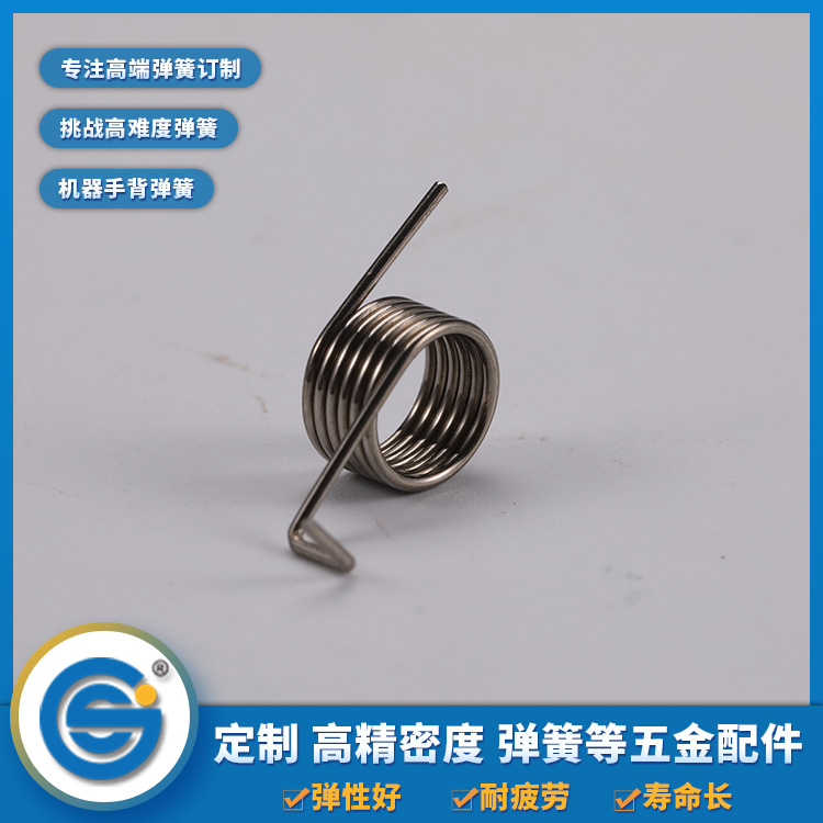Torsion spring
