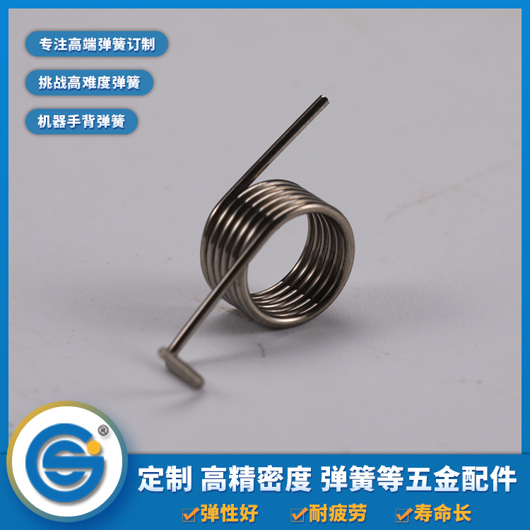 Torsion spring