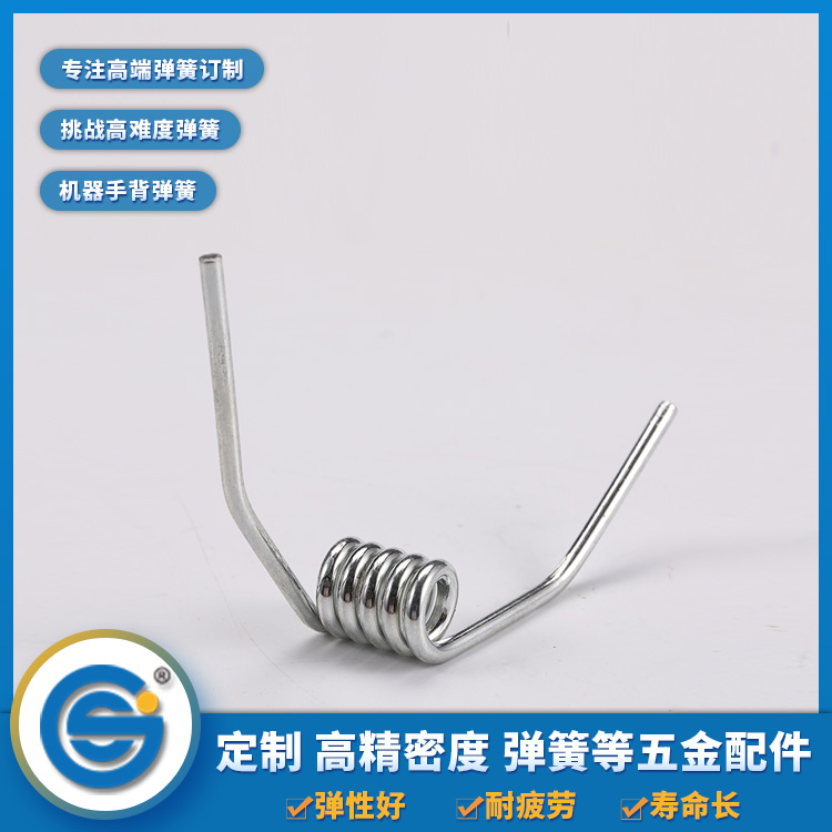 Torsion spring