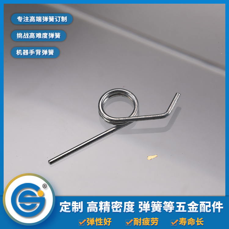 Torsion spring