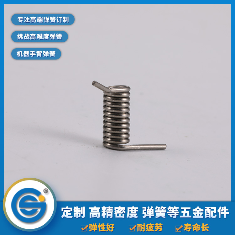 Torsion spring