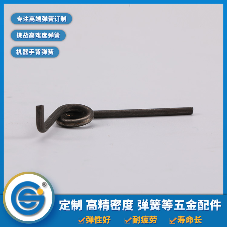 Torsion spring