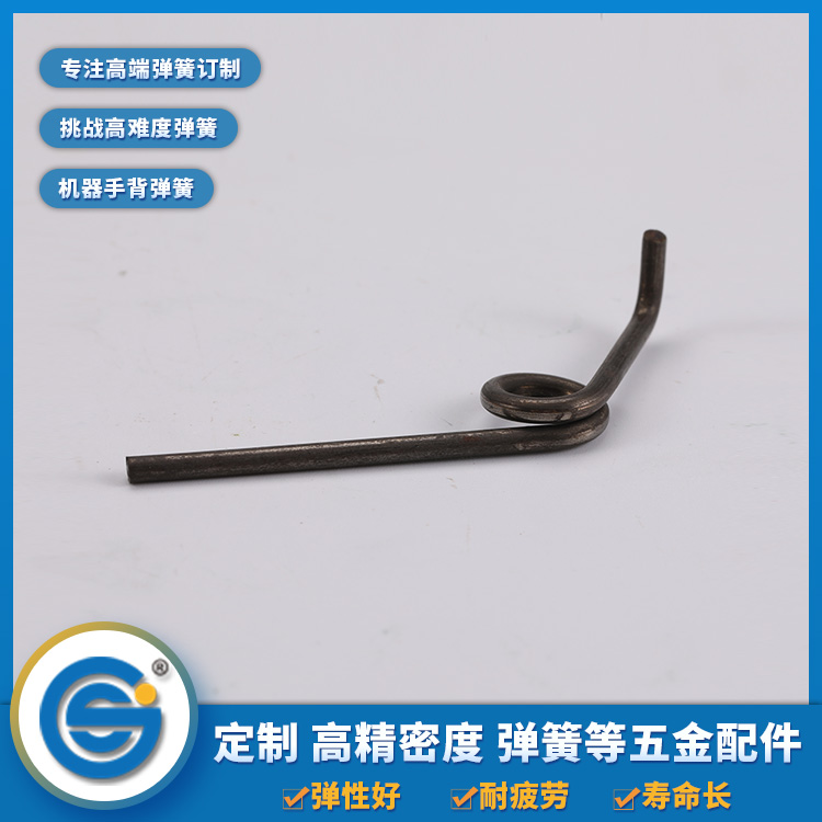 Torsion spring